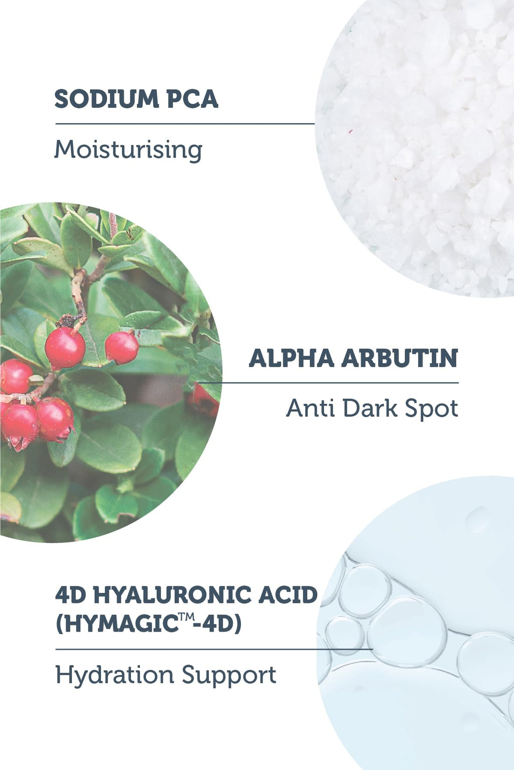 The Purest Solutions Brightening Serum Set - Anti-aging Skincare with Vitamin C & Arbutin